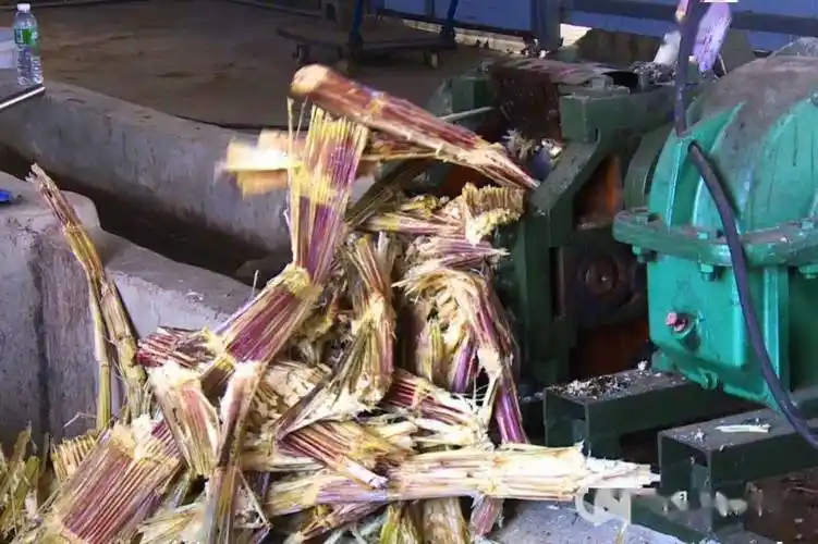 保山又到一年红糖季甘蔗熬出甜蜜新生活