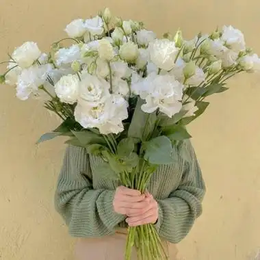 女生头像女生头像老年代年代感女生头像若不经风淡然的动漫女头像淡