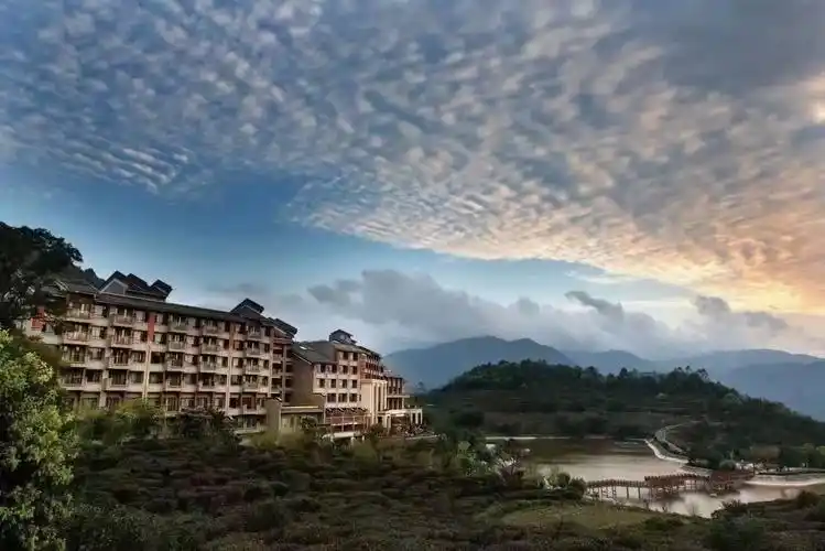 有山有水有茶有吃,山清水秀,空气好!新兴翔顺象窝酒店@dou - 抖音