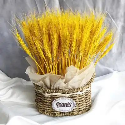 天然麦穗花束开业大麦客厅田园装饰摆件永生插花拍摄道具礼品干花