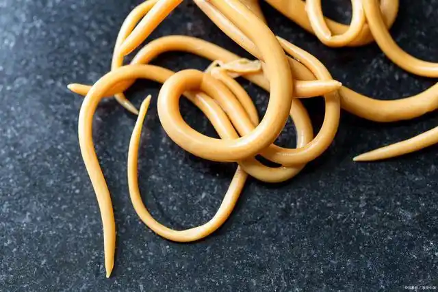 几十年前,很多人肚子里都有蛔虫,为何现在没有人听说过了