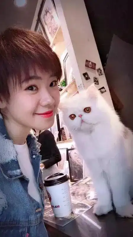 关键康达屈伸家里来qiě了快来迎接