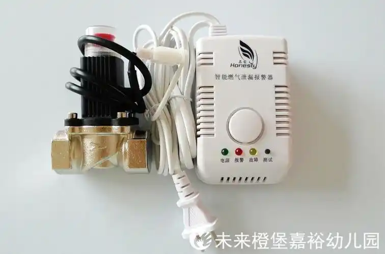 陈教官还推荐了两个比较方便实用的消防器材         自动灭火宝