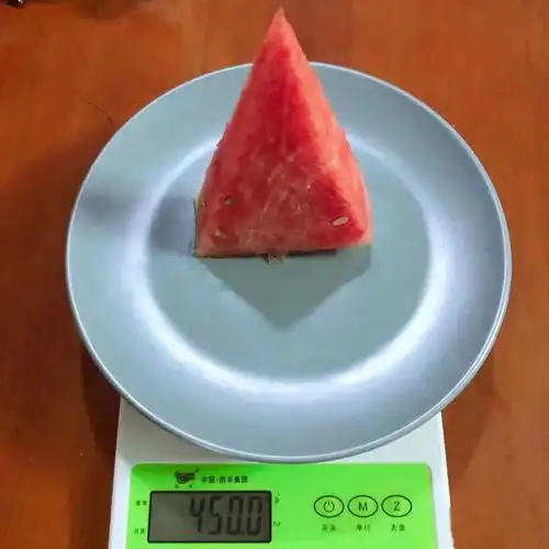 100克的西瓜肉 350克的盘子