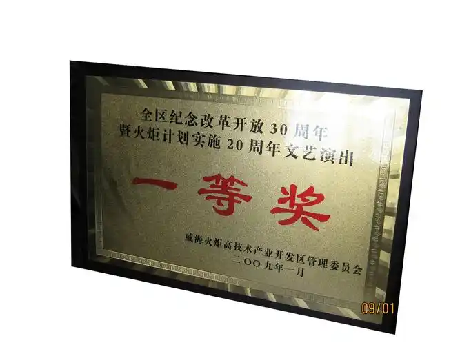 定制企业奖牌 授权牌 各种金箔银箔奖牌图片_11