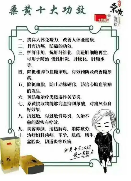 桑黄多少钱一斤 福建桑黄 十月细润
