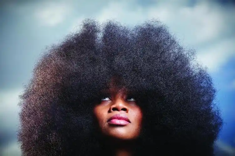 吉尼斯世界纪录之最