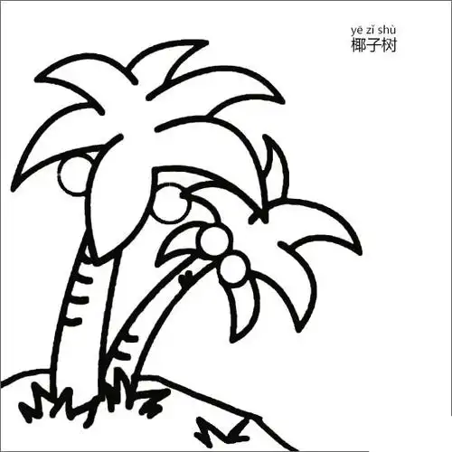椰子树简笔画图片
