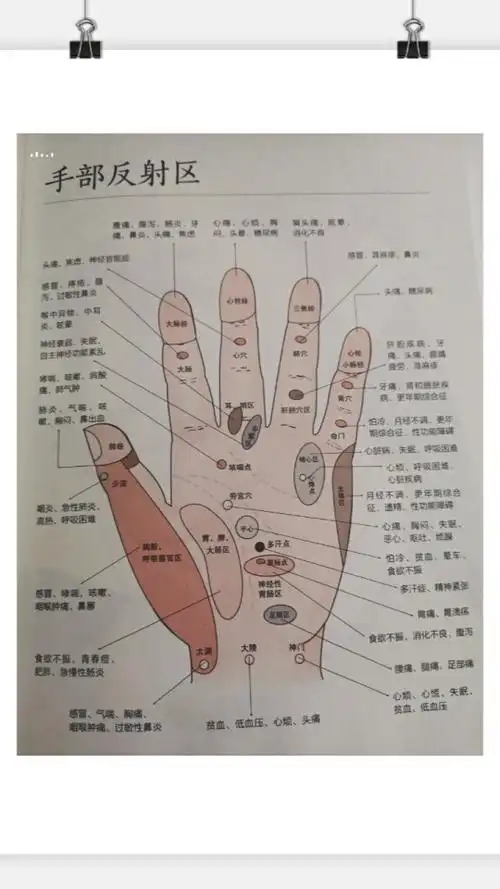 手部反射区图解与疾病