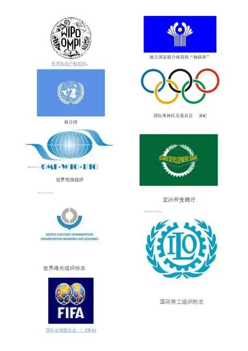 国际组织图标_第4页