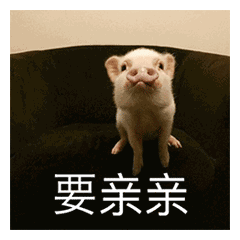 要亲亲要抱抱还要举高高