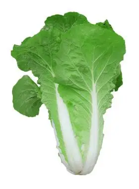 小白菜种子青菜种籽子蔬菜籽种大全四季阳台盆栽鲜美黄心快菜种孑