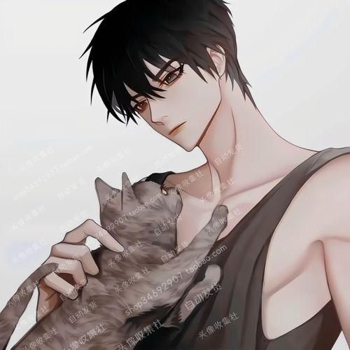 头像 男 猫咪 卡通 动漫手绘 气质男生 高清 头像收集社 自动发货