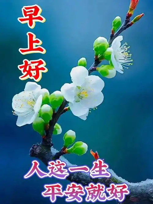 2023年12月6日星期三漂亮早上好图片祝福_短信_太阳_日子