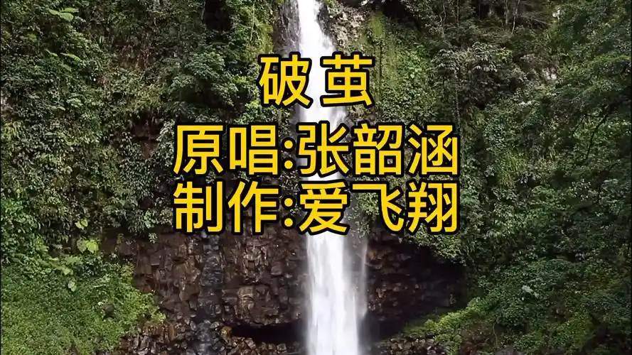 张韶涵一首破茧无惧在逆风中破茧就算那羽翼被撕裂