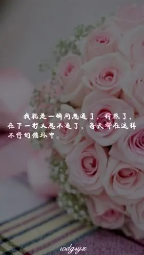 【wdgsyx原创,禁止在堆糖二次上传】我就是一瞬间想通了释然了,在下