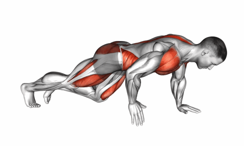 动态核心稳定性训练解剖图解|屈髋|屈肘|俯撑_网易订阅