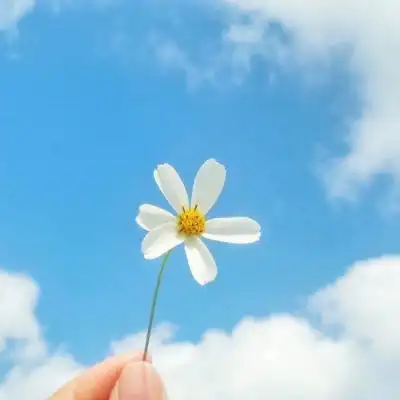 找一个风景头像(30张)