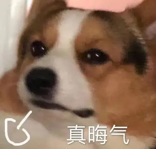 狗勾实用好图共赏表情包王者干什么都可爱