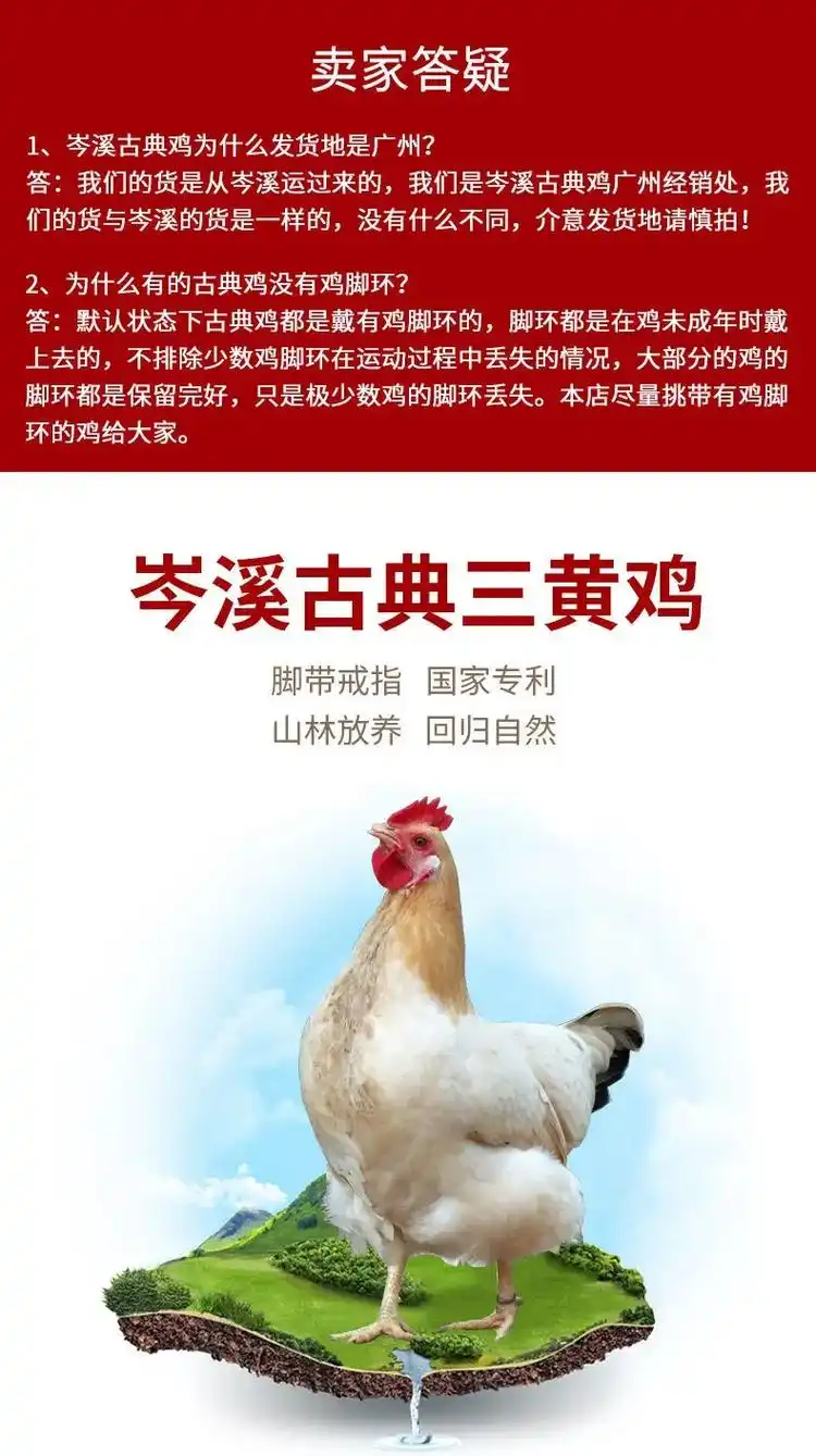 国家地理标志保护产品岑溪古典三黄鸡 - 抖音