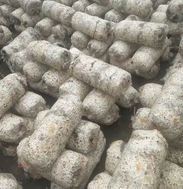 平菇菌包,大袋规格26×55