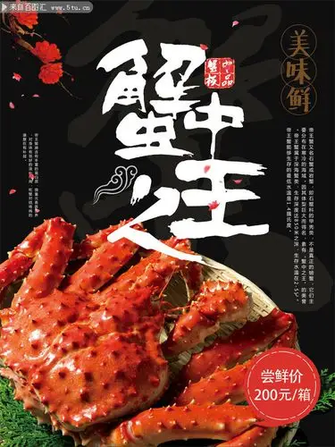 帝王蟹海鲜海报图片素材