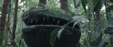 食人花了解一下