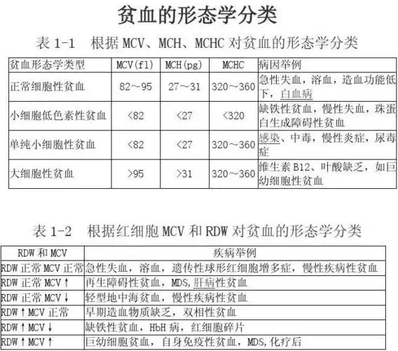 红细胞的形态学分类