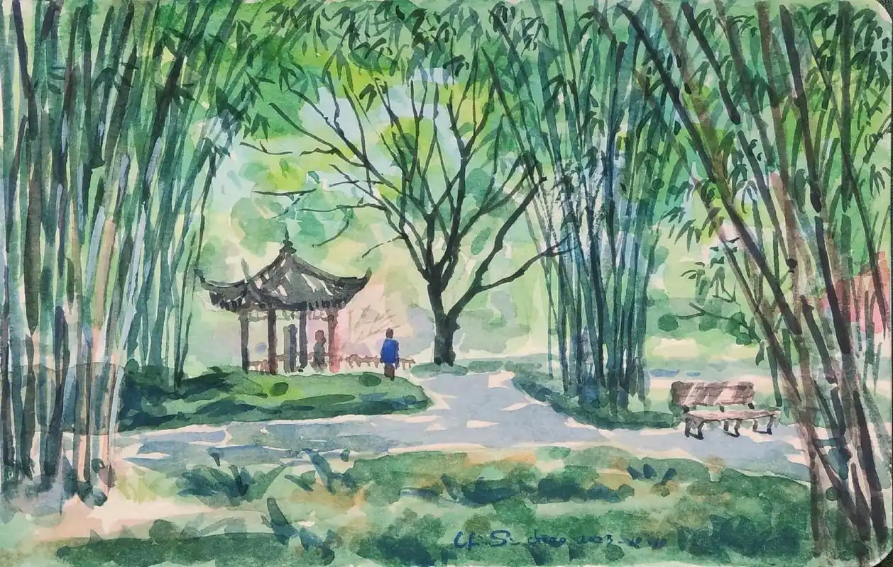 淡彩一个望江楼公园竹林.这次是采风原创96#手绘 #画画 # - 抖音