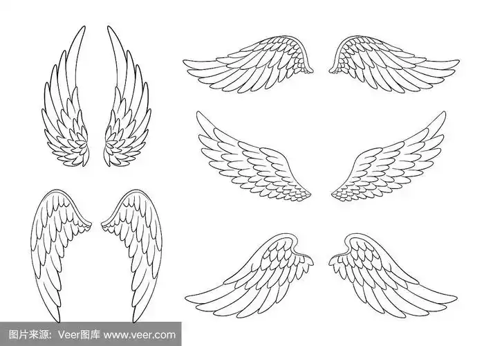 设定手绘的鸟或天使翅膀不同