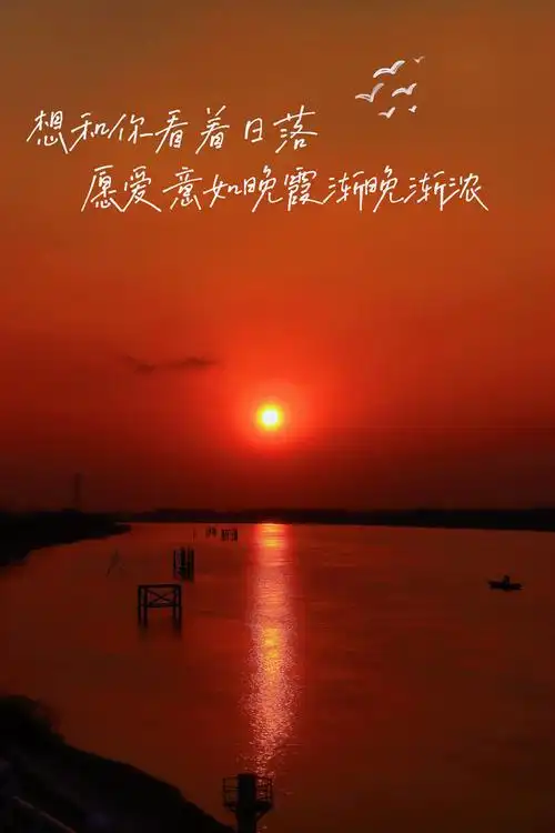 最美不过夕阳红