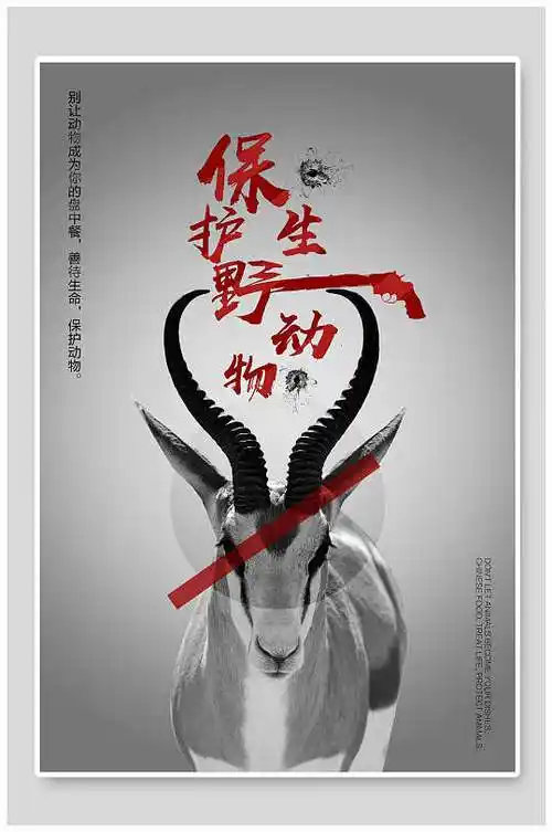 动物保护英文海报图片-动物保护英文海报设计素材-动物保护英文海报