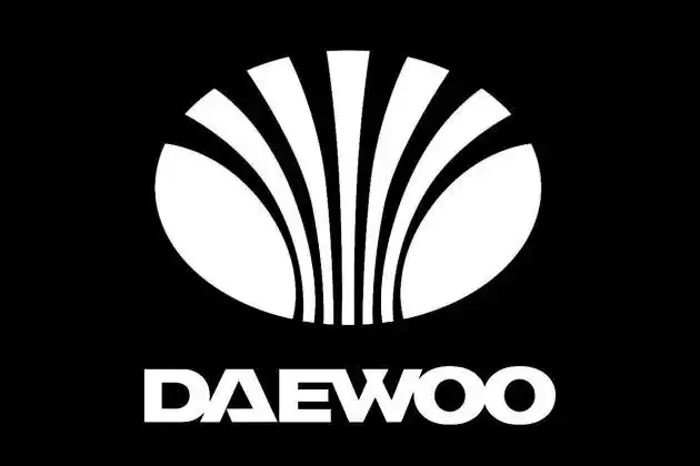 消逝的荣耀 韩国大宇这辈子_车致_新浪网