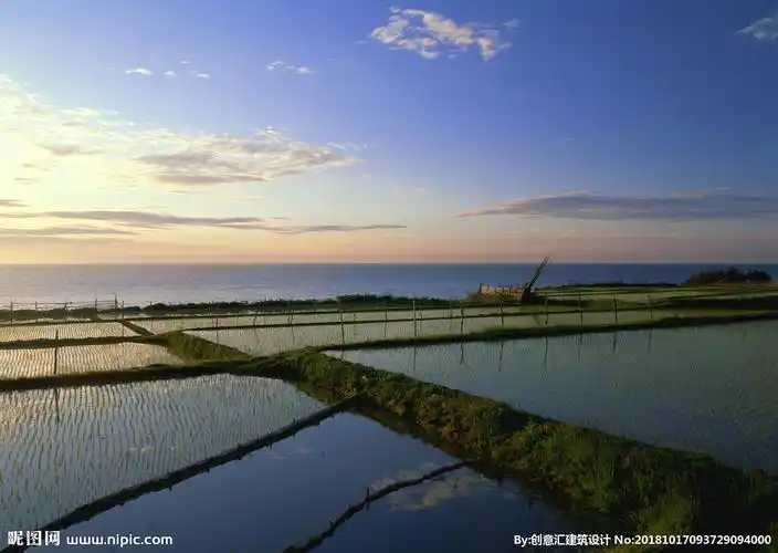 水田图片