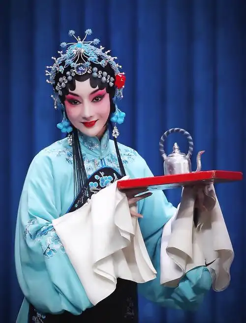 第九届中国戏剧奖·梅花表演奖(第31届中国戏剧梅花奖)终评剧目——新