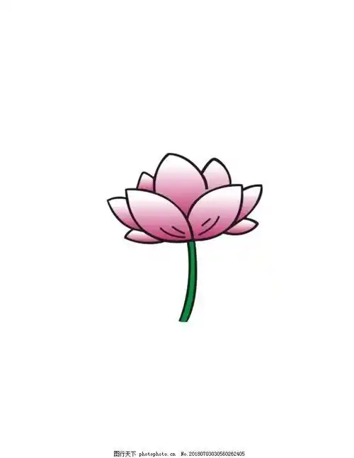 莲花简笔画 莲花简笔画大全 画法