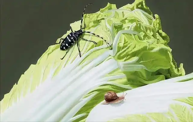 他精心画了两颗白菜,嫩绿且逼真,专家却被白菜下的半截砖吸引