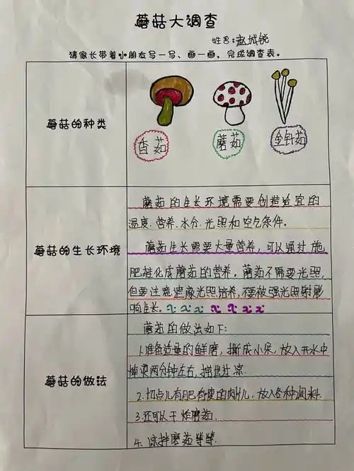 捕捉秋趣,探寻"菇"事——垣曲实验幼儿园香菇采摘社会实践活动_小朋友