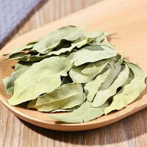 6015啡晨 优选中药材新货罗麻布罗布麻叶精选茶罗布麻茶sn9139