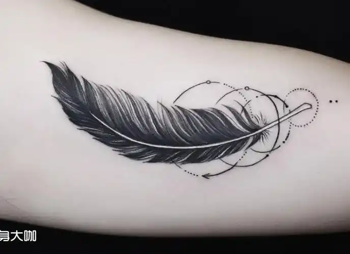 羽毛_纹身图案手稿图片_李兴yue的纹身作品集