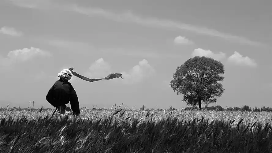 上一页 下一页 作品名称: 20,稻草人  作品描述: 永恒的守护,心中的