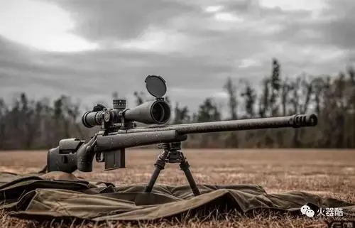 狙击界的外科医生赛加恩步枪美图集