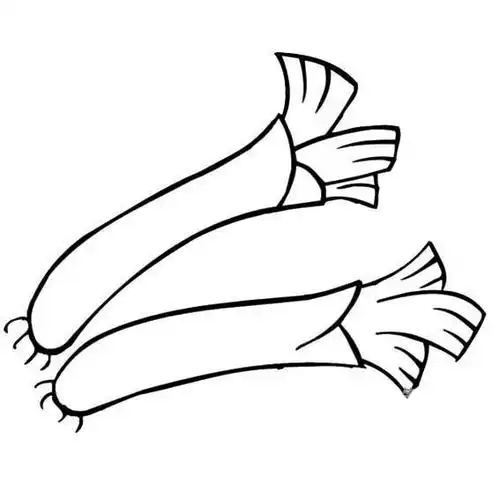 葱简笔画图片大全 - 简单简笔画