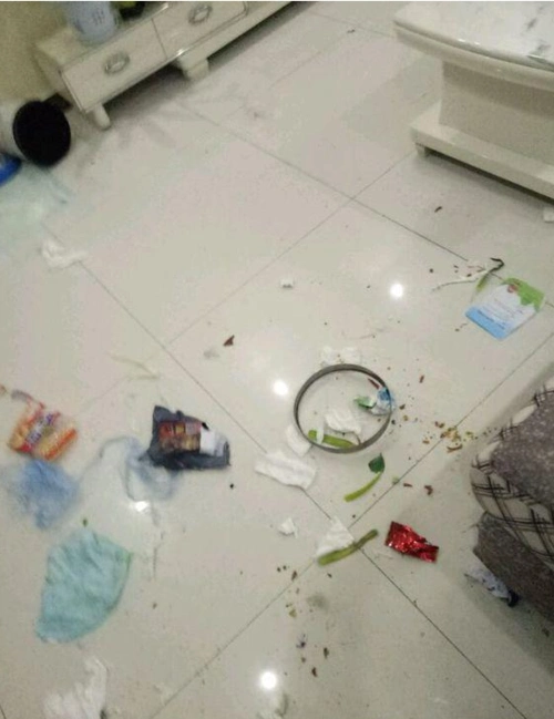 金毛专搞破坏,家里一片狼藉,主人无奈之下果断买了狗笼子!