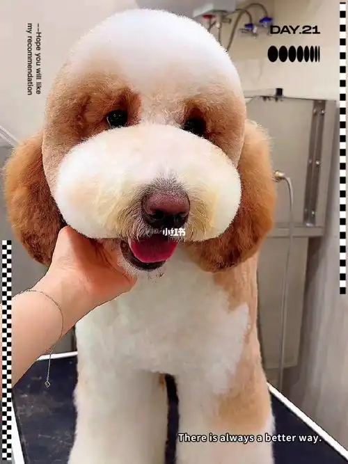 巨贵美容真是个大可爱