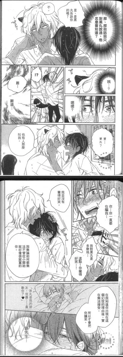 飞蛾扑火的猫漫画_第1卷,_在线漫画阅读_动漫屋