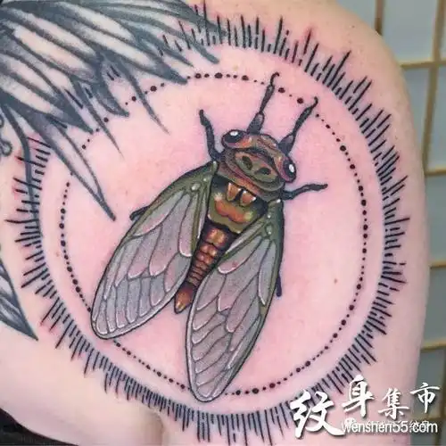 蝉纹身蝉纹身手稿蝉纹身手稿图案