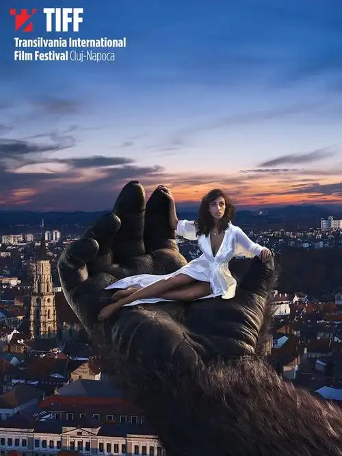 kingkong-tiff poster 2017 on behance