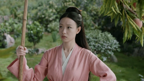 她是《宸汐缘》里不受观众待见的人物,刁蛮任性却极富意义_林墨