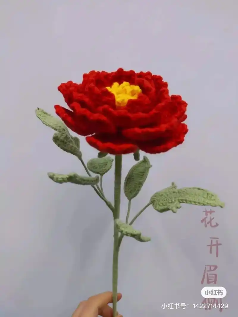 牡丹花钩织图解.只闻花香,莫问流年,你要见过牡丹盛放,就知道 - 抖音